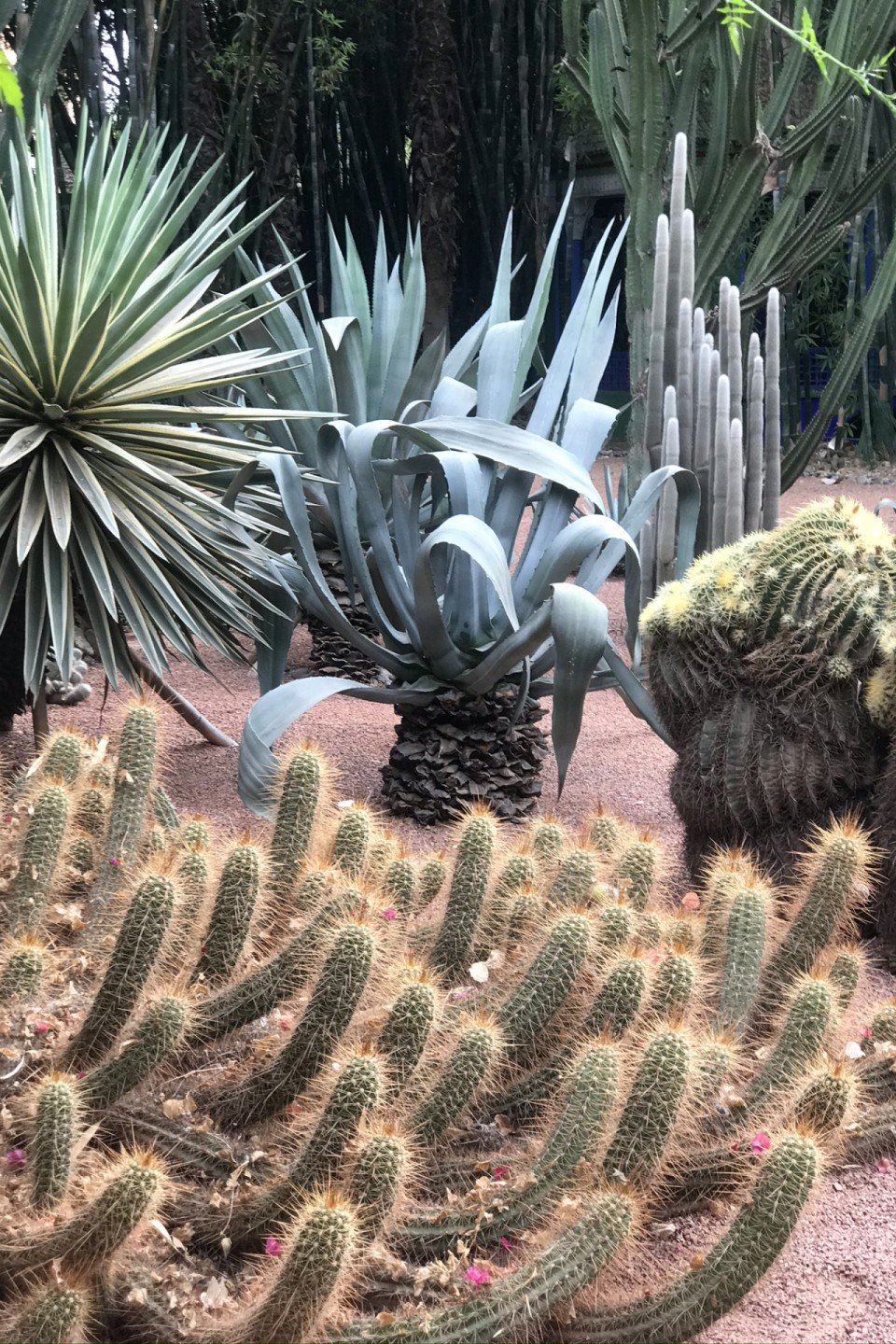馬洛雷勒花園