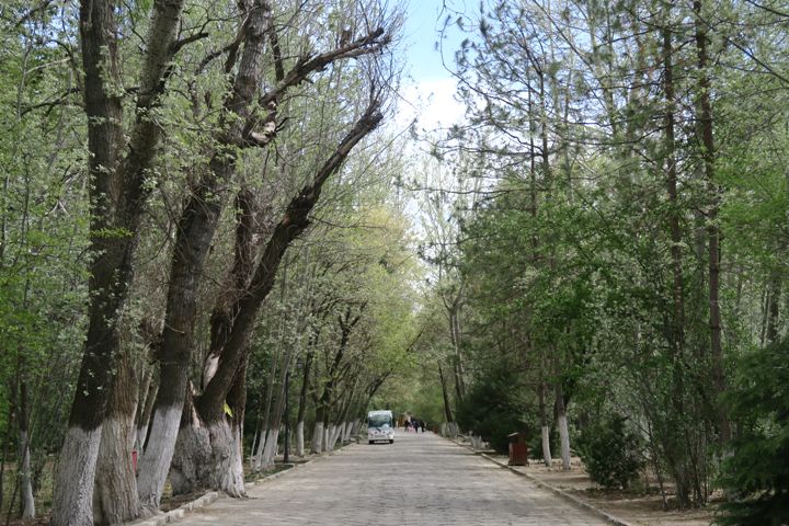 羅布林卡