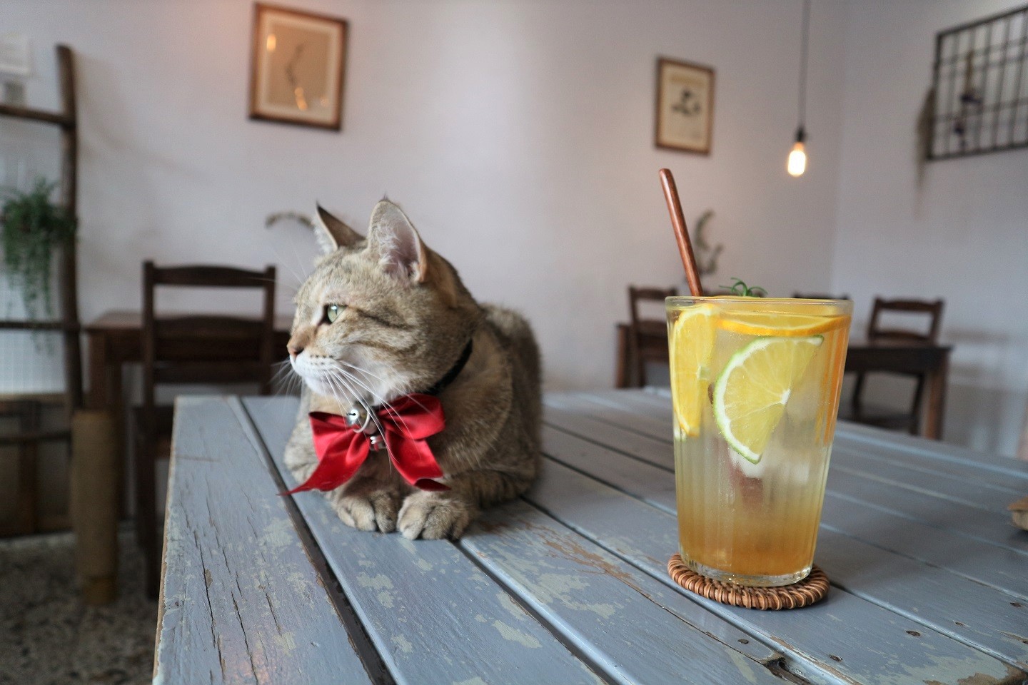 來森もり 台中