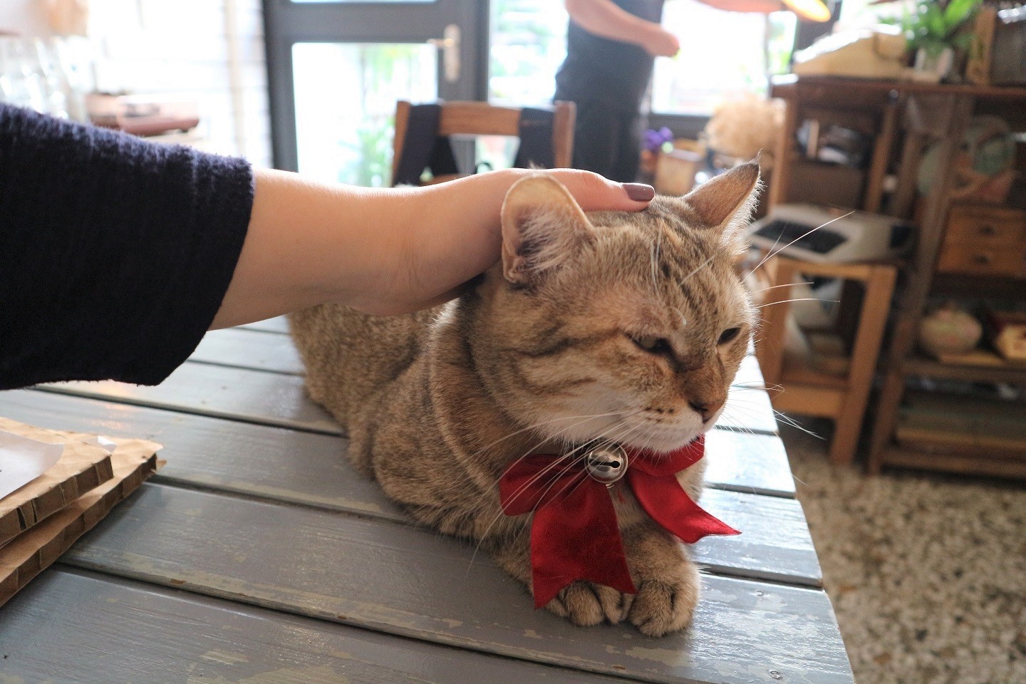來森もり 台中